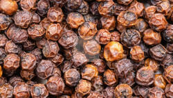  Vörös Kampot bors 25g/csomag prémium minőség