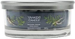 Yankee Candle Bayside Cedar 340 g