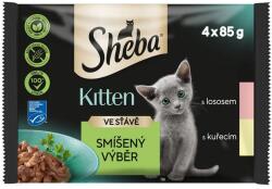 Sheba Sheba Kitten Pliculețe cu alegere mixtă în sos 4 x 85 g