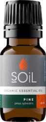 SOiL Ulei esential de Pin, 10ml, SOiL