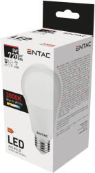 Entac LED Globe E27 8W izzó