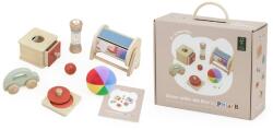 Viga Toys Set educativ Viga PolarB Grow with Me - Micii cercetători