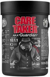 Zoomad Labs Caretaker bcaa 10: 1: 1 [480 грама] Череша