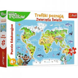 Trefl Oktatási puzzle - Világtérkép 48 db-os (15552)