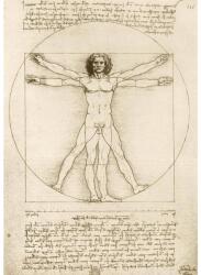 Bluebird Puzzle 60211 - Leonardo Da Vinci - The Vitruvian Man 1490 - 1000 db-os Art by puzzle (60211)