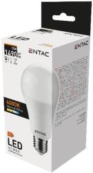 Avide Entac Led Globe E27 15W Nw 4000K (LLG27-15W-NW)