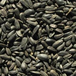  AVICENTRA Semințe negre de floarea-soarelui - 1kg