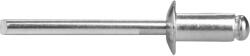Extol Premium popszegecs készlet alu, 1000 db-os, méret: 2, 4×6, 0 mm (8813831) (8813831)