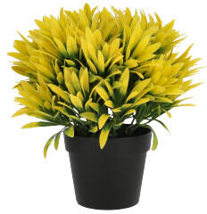 Cserepes művirág hosszúkás sárga levelekkel, 20 cm (2021Y (Podocarpus))