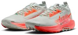 Nike Férfi futócipő Nike PEGASUS TRAIL 5 GORE-TEX bézs FQ0908-004 - EUR 45, 5 | UK 10, 5 | US 11, 5