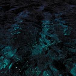 Duikeren, Jan Van & Ma A Love Unveiled Ft. John Engels Kar