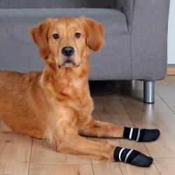 TRIXIE Zokni kutyának Non-Slip - csúszásmentes 2db, M - L