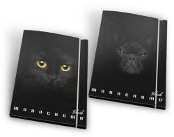 Pigna Папка картон с ластик Pigna Monocromo Black (1303310-0230859-3L)