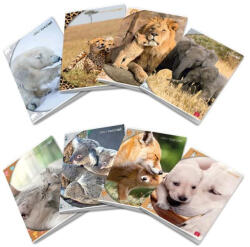 Pigna Тетрадка Pigna Animal Maxi A4 42 л (1120351-0232593-0C)
