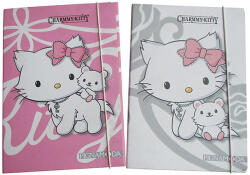 Pigna Папка картон с ластик Pigna Charmmy Kitty `10 А5 (1303274)