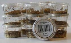 Adrian Martinkovič Arany glitter 6 g (9876169)