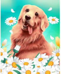 Figured Art Boldog arany retriever - gyémántfestés kereten 40x50 cm (O777621)