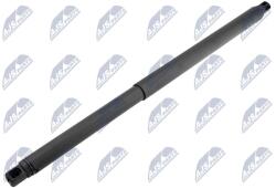NTY Amortizor portbagaj NTY AE-CH-054 (AE-CH-054)