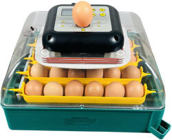 TEHNO MS Incubator cu intoarcere automata MS-24 oua 220V (tms556)