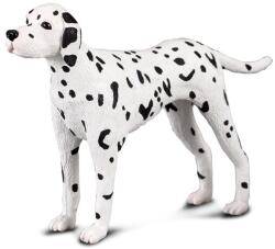 CollectA - Dalmata