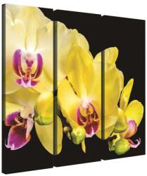  Vászonkép szett 3 darabos sárga Orchidea 3D (78375)