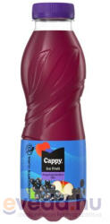 Cappy Ice Fruit Vegyes Gyümölcsital 0, 5L Meggy (DRS)*