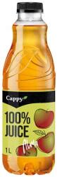 Cappy Gyümölcslé, 100%, 1 l, rostos, CAPPY, alma (KHK767V)