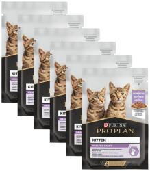 PRO PLAN Kitten Healthy Start carrot 6x85 g