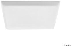 Rábalux Oleg süllyesztett LED panel 12W 1272lm 4000K fehér IP65/IP20 5372 (5372)