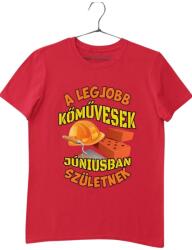 Pólóügynökség A legjobb kőművesek júniusban születnek férfi póló, piros, XL (51917613)