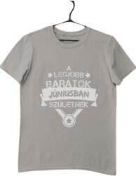 Pólóügynökség A legjobb barátok júniusban születnek fehér férfi póló, fehér, 5XL (51904983)