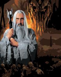 Zuty Picturi pe numere Saruman și Sauron (Stăpânul Inelelor) (M10-040-050-601382)