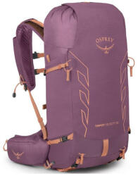 Osprey Tempest Velocity 30 női túrahátizsák Hátizsák hátrésze: M/L / fekete/szürke
