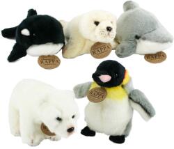 Rappa amestec de pluș Antarctica, 5 tipuri, 19 cm