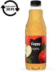 Cappy Gyümölcslé, 100%, 1 l, rostos, CAPPY, alma (1121917) - mystock