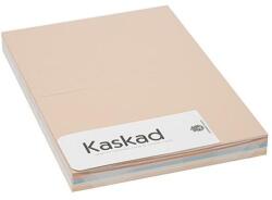 Kaskad Dekorációs karton KASKAD A4 160gr pasztell vegyes színek 5x25 ív/csomag (621100 (K16)) - mystock