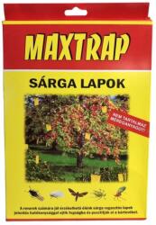 Maxtrap sárga lap 10 db-os 17*24 cm