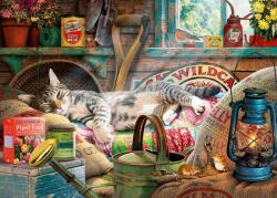 Gibsons - Puzzle Amânând în Shed - 1 000 piese Puzzle