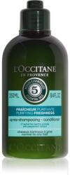 L'Occitane Purifying Freshness Conditioner tisztító kondicionáló normál és zsíros hajra 250 ml