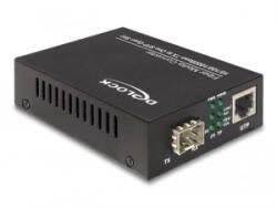 Delock média konverter 10/100/1000Base-T - SFP-re (86220) (86220)