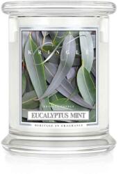 Kringle Candle Lumanare Kringle Candle Eucalyptus Menta parfumata medie 2 fitil (411 g),