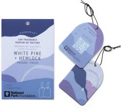 Paddywax Parfum auto Paddywax Parks GLACIER WHITE PINE & HEMLOCK,