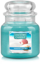 The Country Candle Company Country Candle Paradise Breeze lumanare parfumata medie cu 2 fitiluri (453 g),