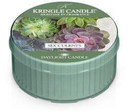 Kringle Candle Lumanare Kringle Candle Succulents lumanare parfumata lumanare parfumata (42 g),