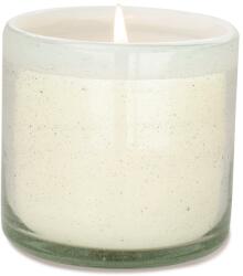 Paddywax Lumânare parfumată cu nucă de cocos Paddywax La Playa (9 oz / 255 g),