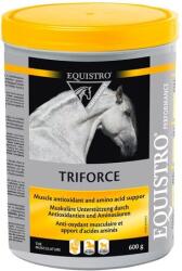 EQUISTRO Triforce 600 g