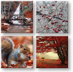  Falfestés COLLAGE 4 részes XOBKOL11E42