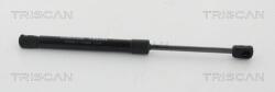 TRISCAN Amortizor capota TRISCAN 8710 20111 (8710 20111) - automobilus