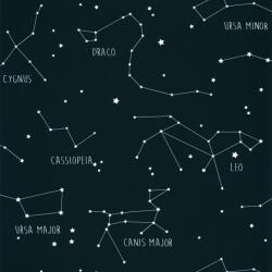  Caselio Our Planet 101916918 CONSTELLATIONS Gyerekszobai Csillagképek kék fehér tapéta (101916918)