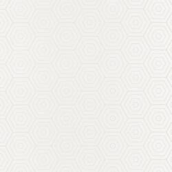  Caselio Shine 68600005 HEXAGONE grafikus összekapcsolódó "koncentrikus" hatszögek fehér ezüstszürke tapéta (68600005)